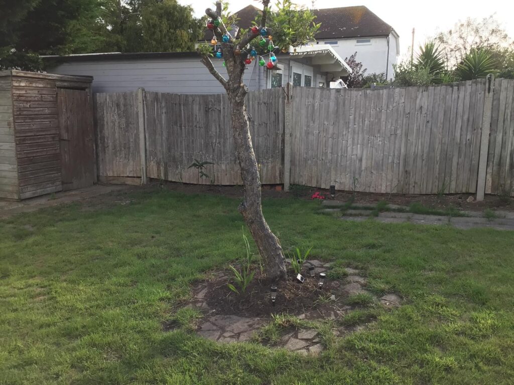 whatsapp image 2025 09 13 at 18.42.29 a9d79f87