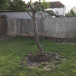 whatsapp image 2025 09 13 at 18.42.29 a9d79f87